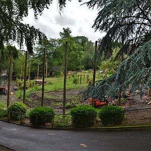 New orang enclosure under construction