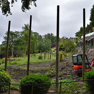 New orang enclosure under construction