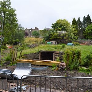 New orang enclosure under construction
