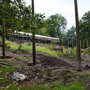 New orang enclosure under construction