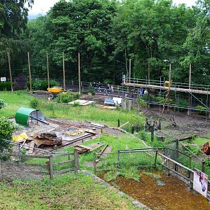 New orang enclosure under construction