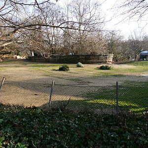 Addax enclosure (January 2019)