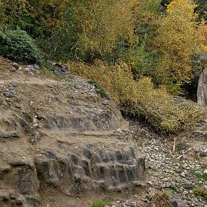 Snow leopard enclosure (October 2020)