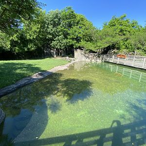 Jun. 2021 - Plains - Savanna Exhibit Waterhole View (Spot the Stork)
