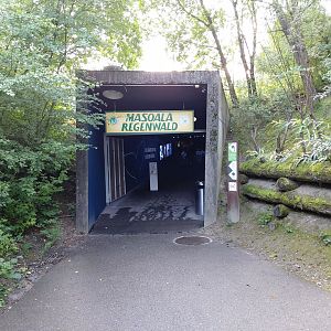 Masoala Rainforest entrance (July 2020)
