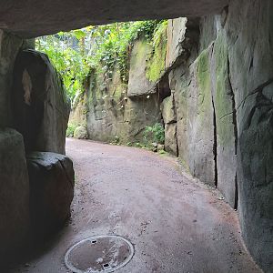 Beginning of the trek (July 2020)