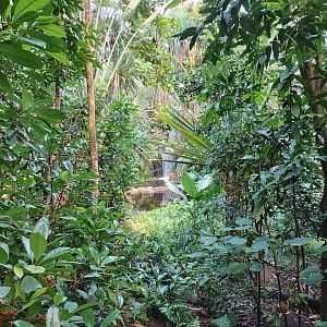 Little view on a waterfall (July 2020)