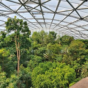 Canopy view on the entire Masoala Rainforest (July 2020)