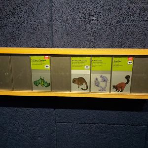 Sign with the different species who live in Masoala Rainforest (July 2020)