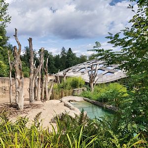 Asian elephant bull enclosure (July 2020)