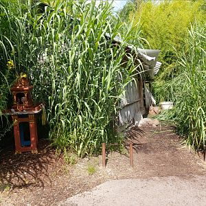 Recreation of a destroyed thai house to show the conflict between elephants and humans (July 2020)