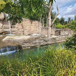 Asian elephant enclosure (July 2020)