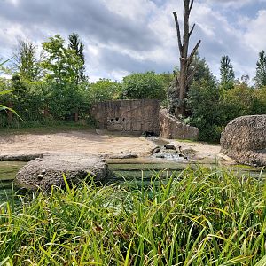 Asian elephant enclosure (July 2020)