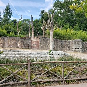 Asian elephant enclosure (July 2020)