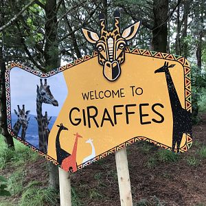 Giraffe entrance sign