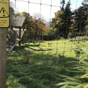 Male giant panda enclosure