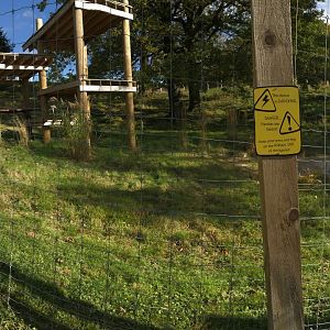 Female giant panda enclosure