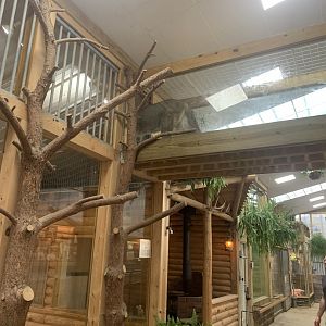 Jun. 2021- Ramp connecting cougar exhibit