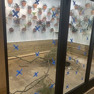 Jun. 2021- Enrichment Room