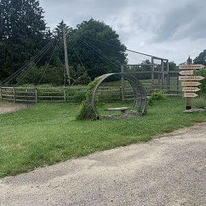 Jun. 2021- Vulture aviary