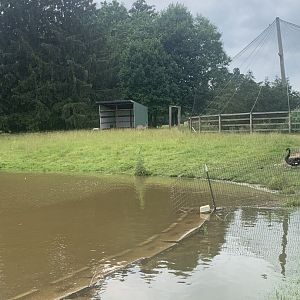 Jun. 2021- Emu enclosure