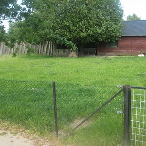 Munkholm Zoo - Somali sheep exhibit