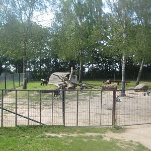 Munkholm Zoo - Goat exhibit