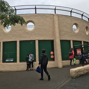 Penguin underwater viewing
