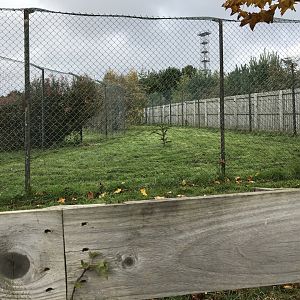 Second giant anteater enclosure
