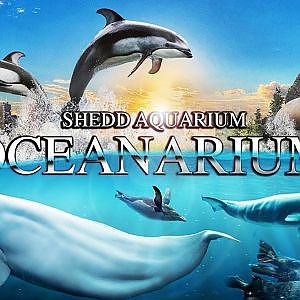 The Award Winning OCEANARIUM | Zoo Tours