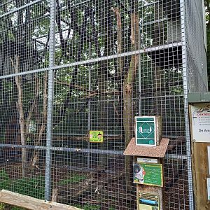 Current Colombian spider monkey enclosure