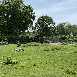 June 2021 Savanna Exhibit 1