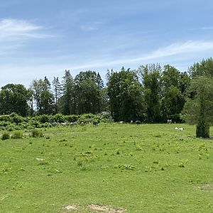 June 2021 Savanna Exhibit 2