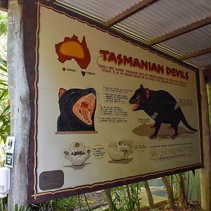 Tasmanian Devil Signage