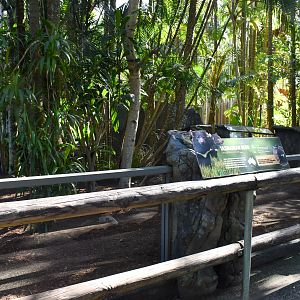 Tasmanian Devil Enclosure
