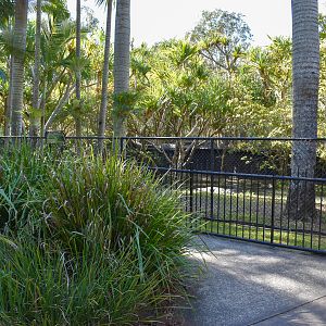 New Alligator Enclosure