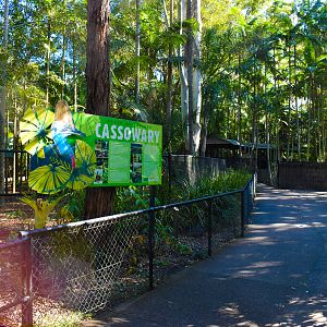 Cassowary Enclosures