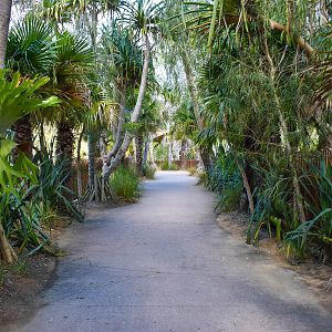 Crocodile Environmental Park - Pathway