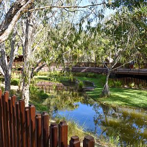 Crocodile Environmental Park - Saltwater Crocodile Enclosure