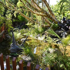 Crocodile Environmental Park - Turtle Enclosure