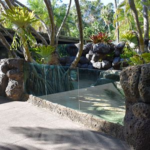 Elongated Tortoise/Rhino Iguana Enclosure