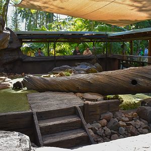 Renovated Otter Enclosure