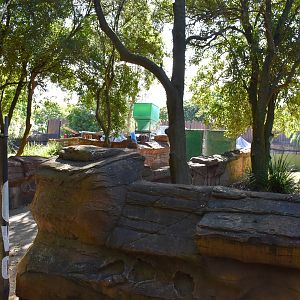 Wombat Enclosure - Under Construction