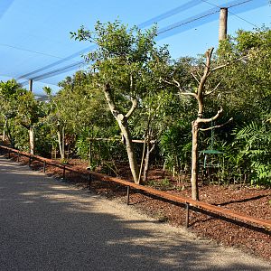 Renovated Rainforest Aviary