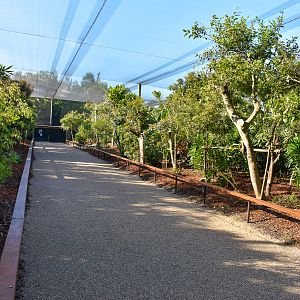 Renovated Rainforest Aviary