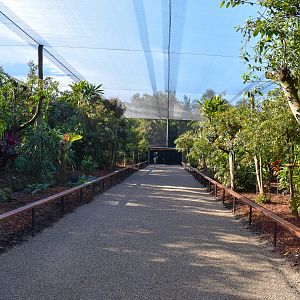 Renovated Rainforest Aviary