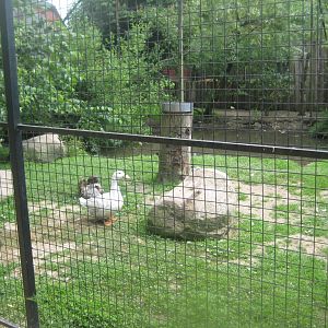 Munkholm Zoo - Wetlands aviary