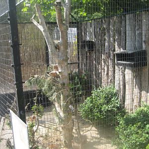 Munkholm Zoo - Lovebird aviary