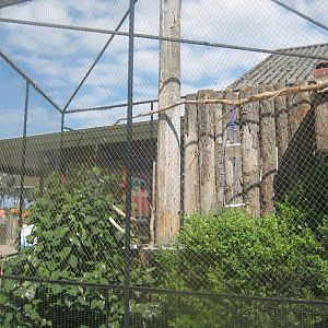 Munkholm Zoo - Amazon parrot aviary