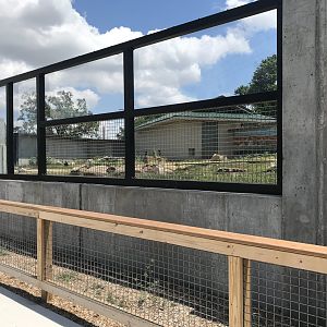 New River Otter Exhibit